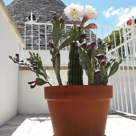 Bed & Breakfast Masseria Nuove Caselle Villa Castelli