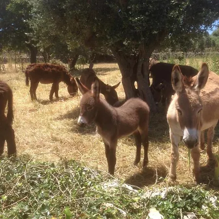 Masseria Nuove Caselle 3*